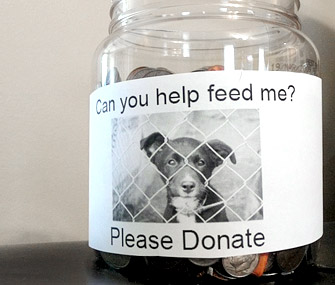 Feed a pet donation jar