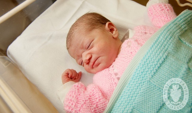 Baby Jade was named for her hero, Jade the German Shepherd.