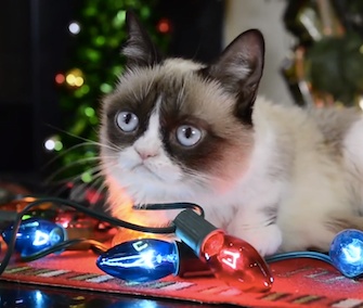 Grumpy Cat and his famous feline friends star in "Hard to Be a Cat at Christmas."