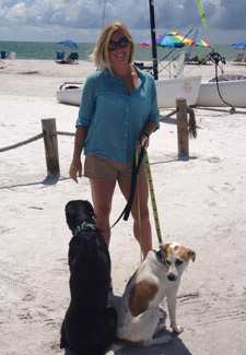 dogs at beach