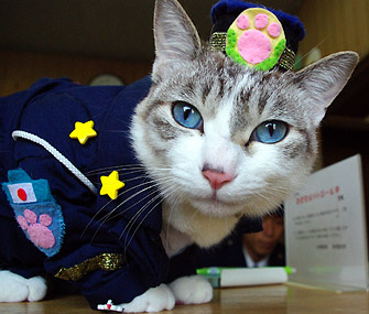 Iemon the Japanase Police Cat