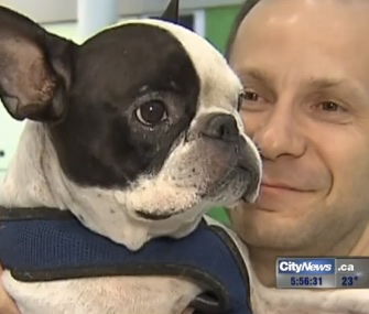 An Air Canada pilot diverted an international flight to save Simba, a French Bulldog.