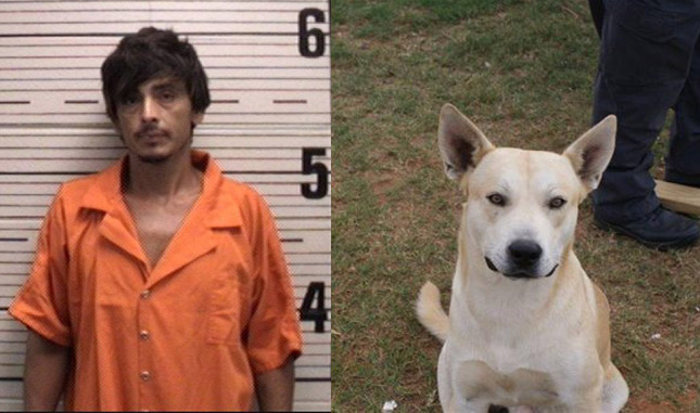 Dog Helps Police Catch Owner