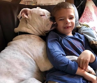 Connor, 6, communicates with Ellie, who's deaf, using sign language.