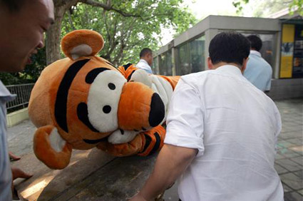 Escaped tiger drill at Chengdu Zoo in China