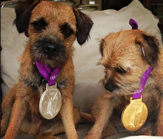 Andy Murray's dogs Maggie May and Rusty wear the tennis star's gold medals.