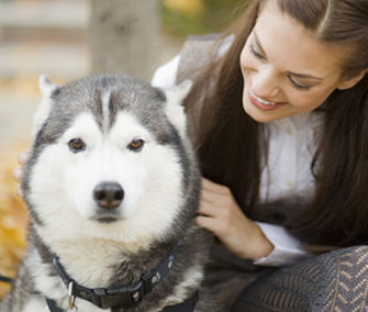 Dog With Owner