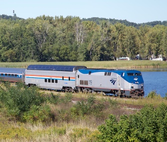 Some dogs and cats will be allowed about the Illinois Zephyr on a trial basis.