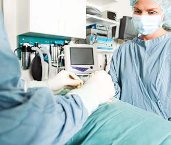 Vet Surgery