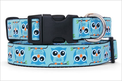 owl dog collar