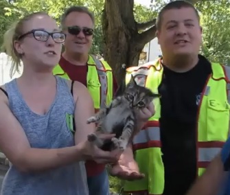 Firefighters in New York freed a young kitten from a Jeep's undercarriage.