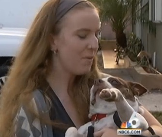 A Boston Terrier named Lola was returned to her original owners after 7 years.