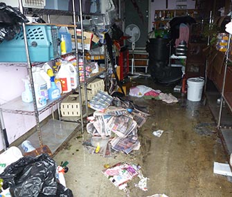 A look at All About Spay Neuter in Sandy's aftermath.