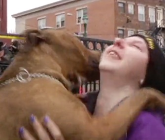 Firefighters found Zeus eight days after a massive apartment building fire in upstate New York.