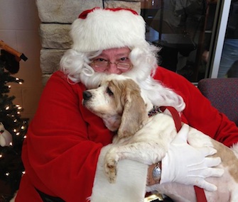 A sweet 13-year-old Spaniel loved visiting with Santa at a Virginia animal shelter.