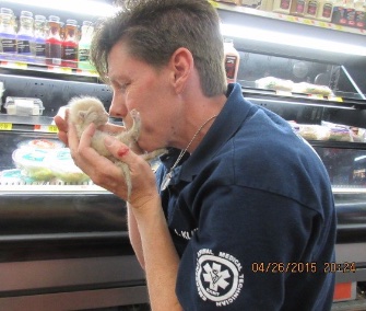 Two kittens trapped under a refrigerated case at an Arizona Walmart were rescued and adopted out.