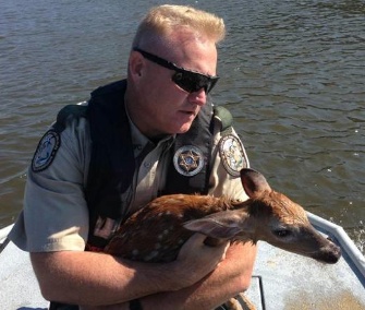 Officer Keith Baber holds a fawn he rescued from a Florida river.