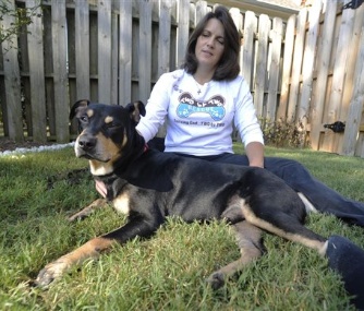Lazarus, a mixed-breed dog who survived a euthanasia attempt and a car accident, sits by his new owner, Jane Holston.