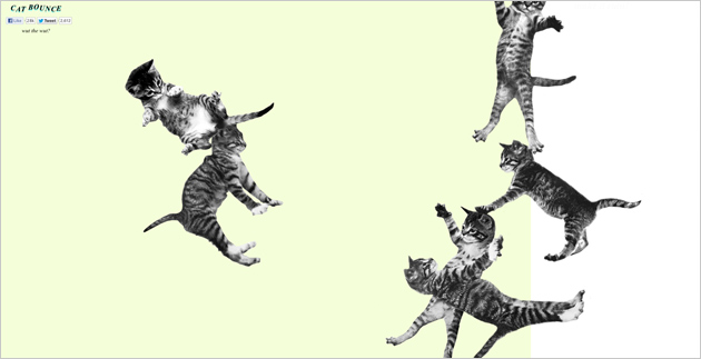 Cat-Bounce.com