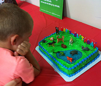 Animal Shelter Birthday Cake