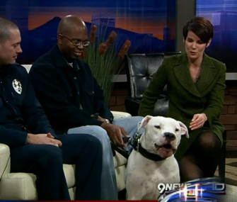 9news anchor and rescued dog