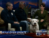 Rescued dog Max bit interviewer Kyle Dyer
