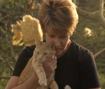 A cat emerged from under the wreckage of a home in Stanton County, Nebraska, a day after twin tornadoes tore through through the area.