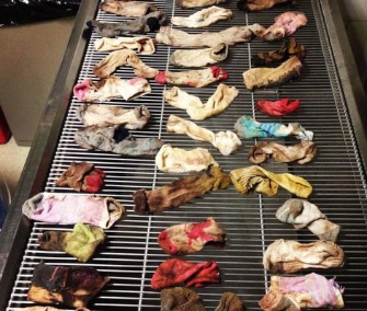 Veterinarians in Oregon found 43 socks in a Great Dane's stomach.