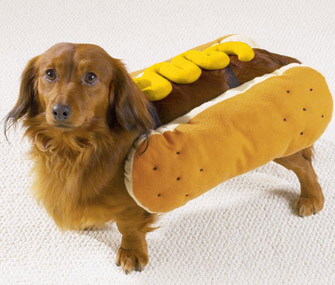 National Hot Dog Month hot dog costume
