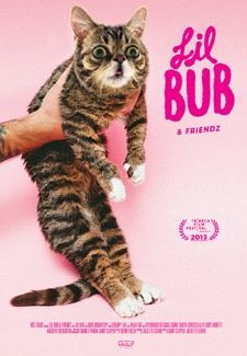 Lil Bub Movie Poster