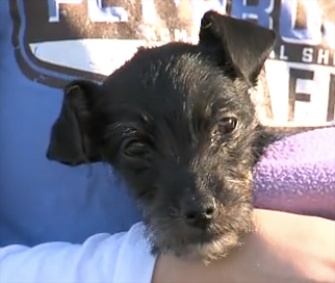 Kia survived for a month in an abandoned car in Missouri.