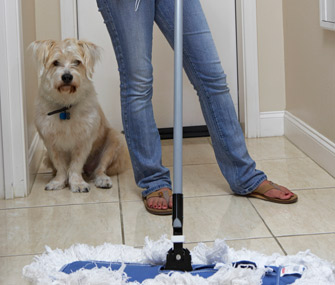 dog using bathroom in house