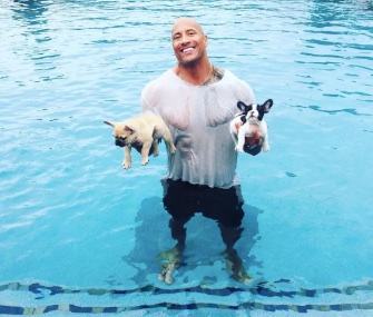 Dwayne Johnson, aka The Rock, rescued his puppies, Brutus, left, and Hobbs, right, from his pool over the Labor Day weekend.
