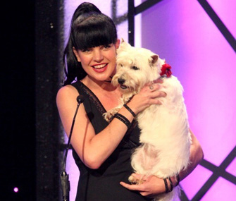 Actress Pauley Perrette at American Hero Dog Award Show