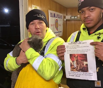 A cat who'd been lost for nine days was found by electrical workers on a steel beam above I-93 in Boston.