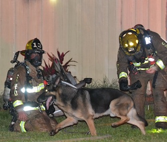 Maxx, a German Shepherd, led firefighters to two young children in his family's burning home.