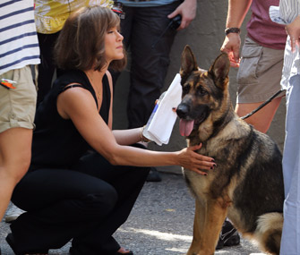 Jennifer Aniston and German Shepherd