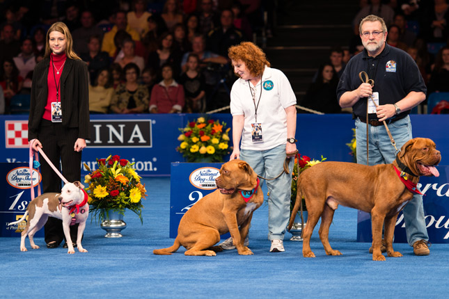 Vivian Peyton at the National Dog Show