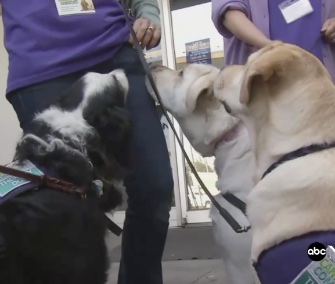 Therapy dogs are helping to comfort those who lost loved ones in the Ghost Ship fire.