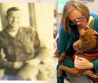 Fox Carolina News and the Greenville County Pet Rescue were asking people to share this image of Soldier the dog and the photo found in his collar.