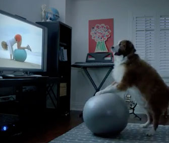 VW ad dog exercising