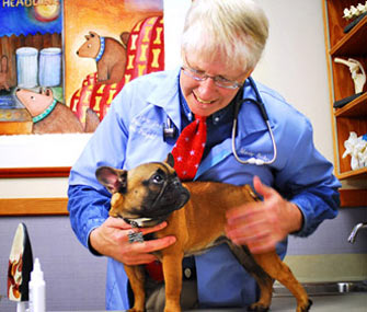 Dr. Marty Becker With French Bulldog