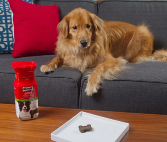 Golden Retriever with Milk-Bone Good Morning Daily Vitamin Treats