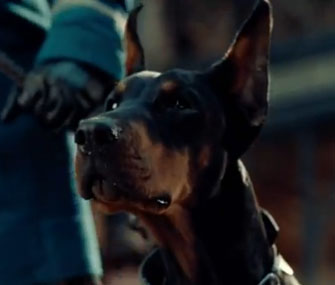Blackie from Hugo