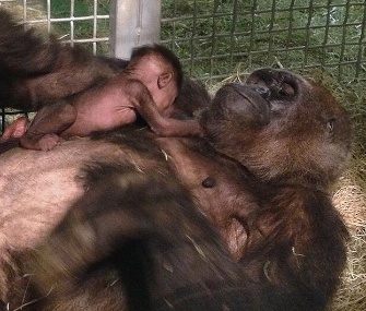 Imani was reunited with her baby girl on Monday, when she was 12 days old.