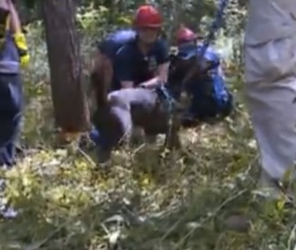 Just over a month after he was adopted, Vader was rescued again — this time from a sinkhole.