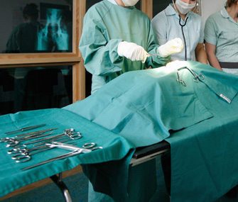 Students performing mock veterinary operation
