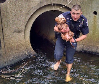 Woonsocket, Rhode Island, Police Officer Joseph Brail rescued a puppy from a water-filled culvert.