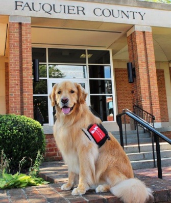 Lincoln has been working with forensic interviewer Lori Jones in Fauquier County, Virginia, for a year.