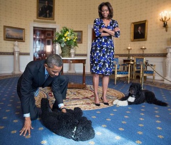 Sunny Obama gets a "Blue Room belly rub" from the president.